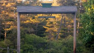 The entry to Boy Scout Camp Richard