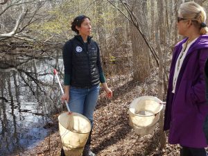 Staff led Vernal Pool Walk