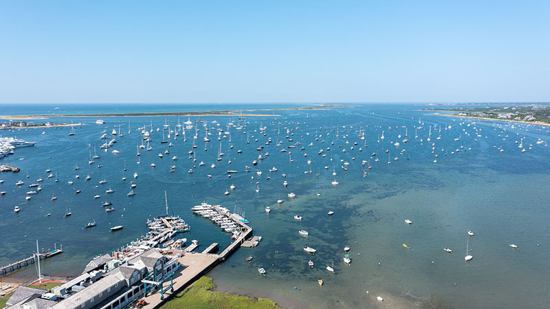 Clean Water Coalition - Nantucket Land & Water Council